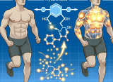 Effects of methyltestosterone on athletes' metabolism